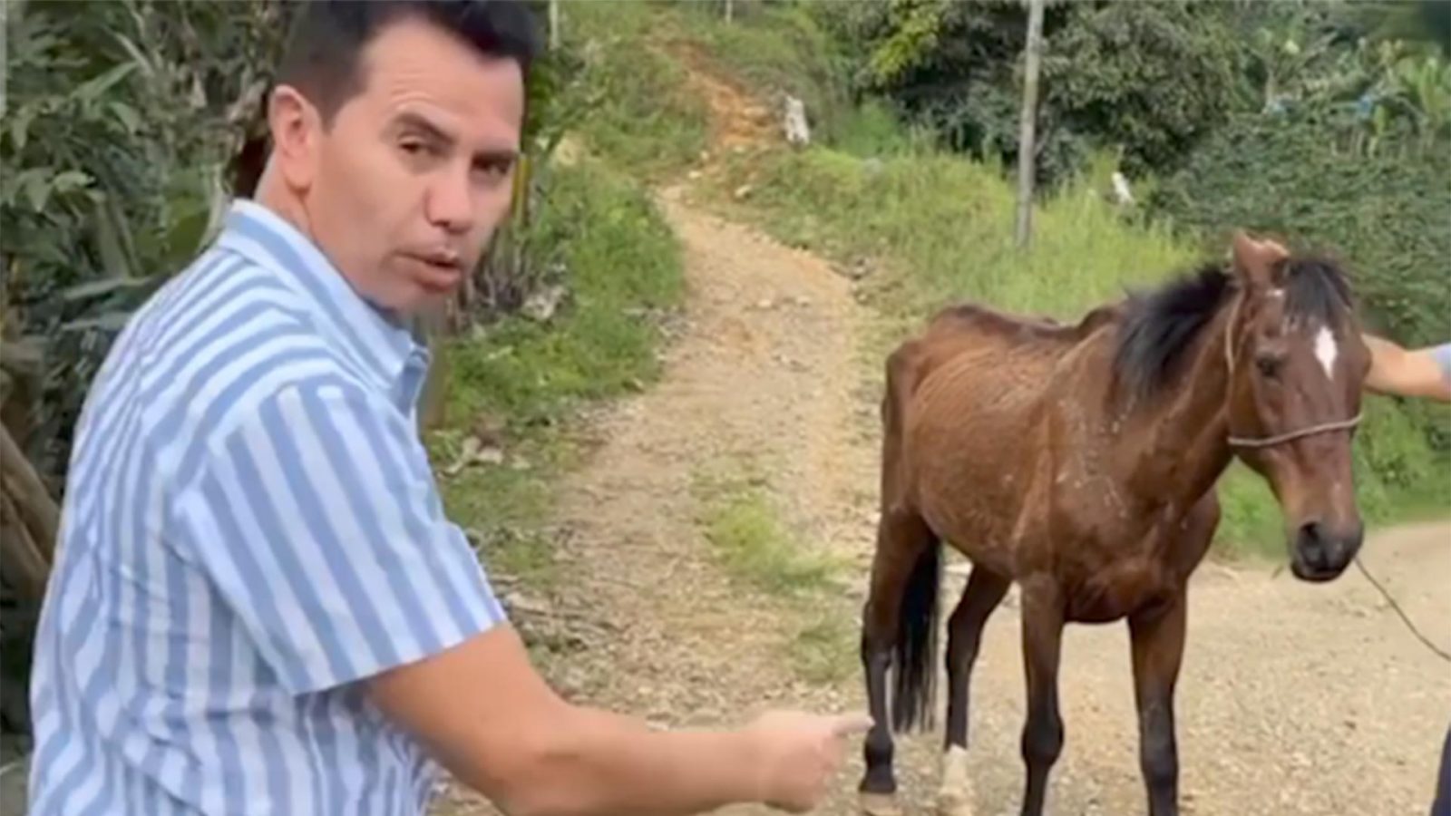 Jhonny Rivera pide apoyo por complicada operación de su caballo
